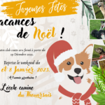 Fête de l’école, les 10 ans ! 17 Septembre 2022