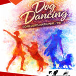 Vacances de Noël ! Reprise le 3 Janvier 2025 !